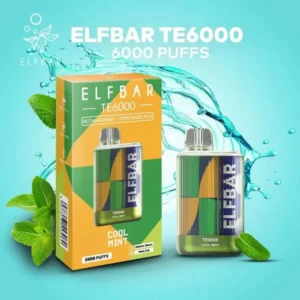 te6000 – 6,000 puff disposable vape